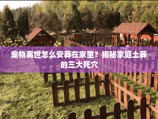 宠物离世怎么安葬在家里？揭秘家庭土葬的三大死穴