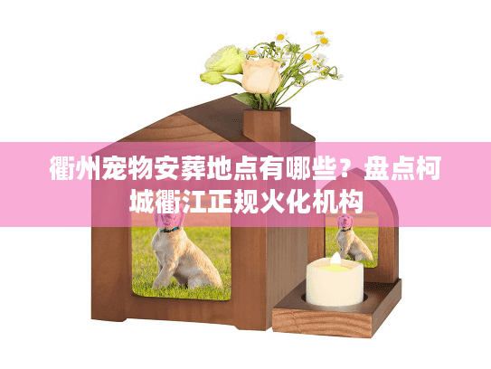 盘点柯城衢江正规火化机构图片