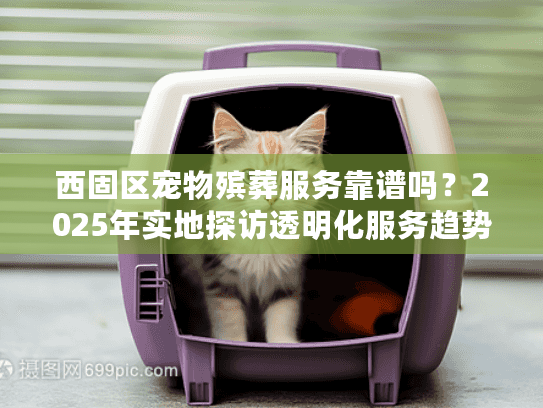 西固区宠物殡葬服务靠谱吗？2025年实地探访透明化服务趋势