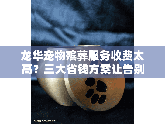 龙华宠物殡葬服务收费太高？三大省钱方案让告别更有温度