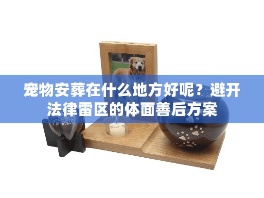 宠物安葬在什么地方好呢？避开法律雷区的体面善后方案