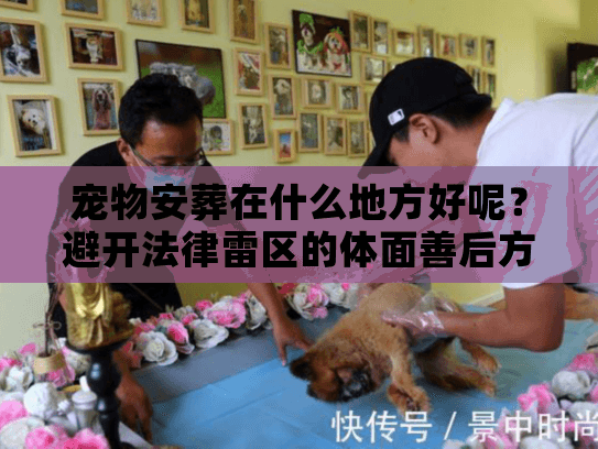 宠物安葬在什么地方好呢？避开法律雷区的体面善后方案