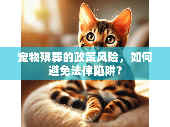 宠物殡葬的政策风险，如何避免法律陷阱？
