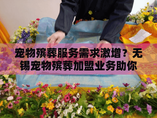宠物殡葬服务需求激增？无锡宠物殡葬加盟业务助你抓住机遇