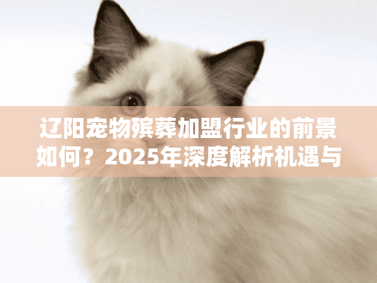 辽阳宠物殡葬加盟行业的前景如何？2025年深度解析机遇与挑战