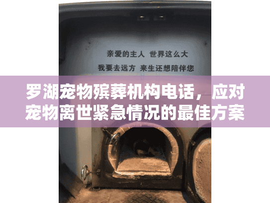 罗湖宠物殡葬机构电话，应对宠物离世紧急情况的最佳方案