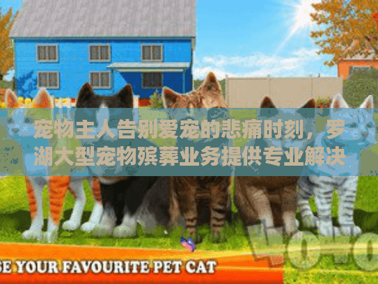 宠物主人告别爱宠的悲痛时刻，罗湖大型宠物殡葬业务提供专业解决方案