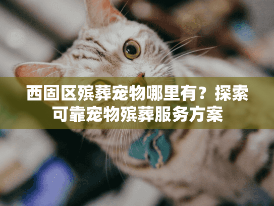 西固区殡葬宠物哪里有？探索可靠宠物殡葬服务方案