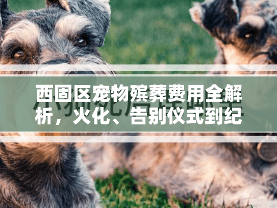 西固区宠物殡葬费用全解析，火化、告别仪式到纪念品价格一览