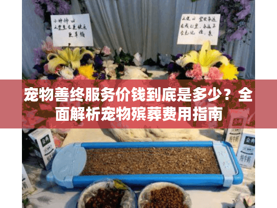 宠物善终服务价钱到底是多少？全面解析宠物殡葬费用指南