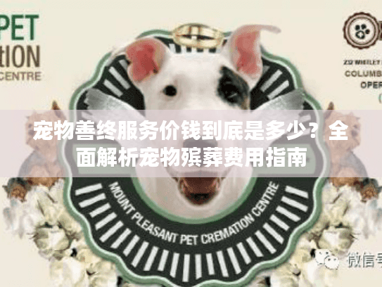 宠物善终服务价钱到底是多少？全面解析宠物殡葬费用指南