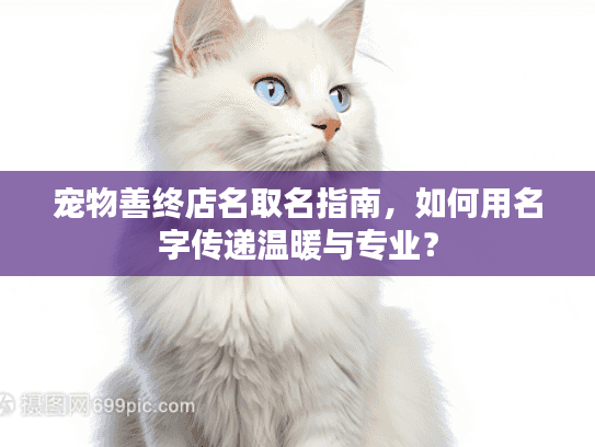 宠物善终店名取名指南，如何用名字传递温暖与专业？