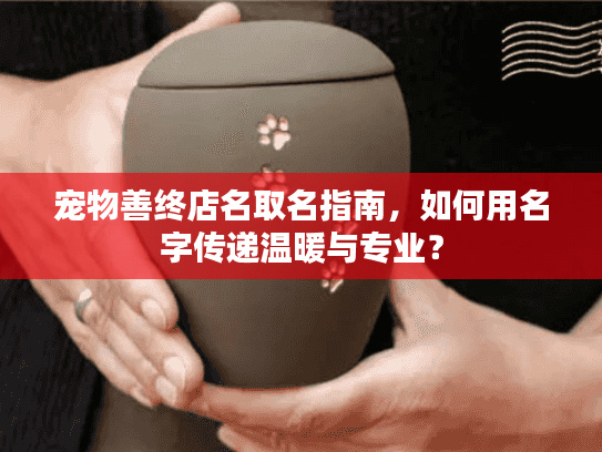 宠物善终店名取名指南，如何用名字传递温暖与专业？