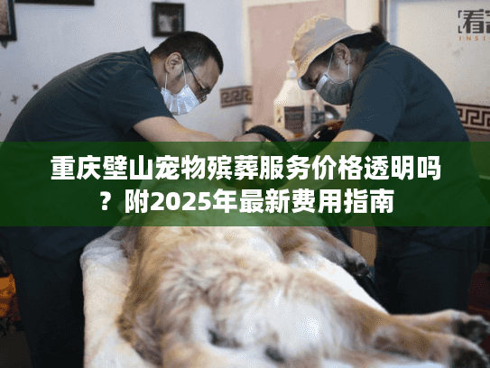 重庆壁山宠物殡葬服务价格透明吗？附2025年最新费用指南