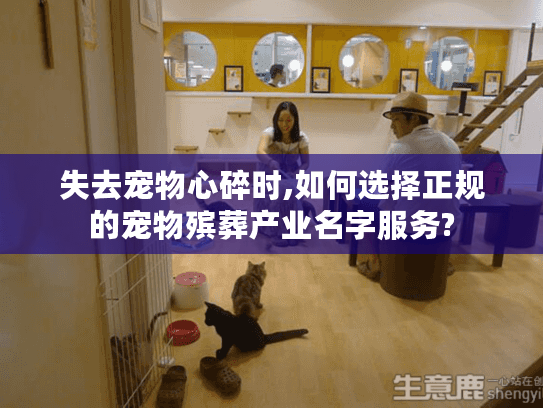 失去宠物心碎时,如何选择正规的宠物殡葬产业名字服务?