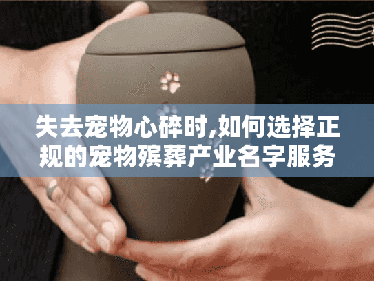失去宠物心碎时,如何选择正规的宠物殡葬产业名字服务?