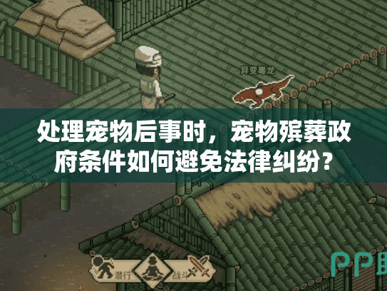 处理宠物后事时，宠物殡葬政府条件如何避免法律纠纷？