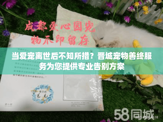 当爱宠离世后不知所措？晋城宠物善终服务为您提供专业告别方案