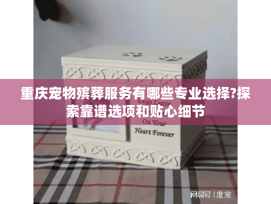 重庆宠物殡葬服务有哪些专业选择?探索靠谱选项和贴心细节