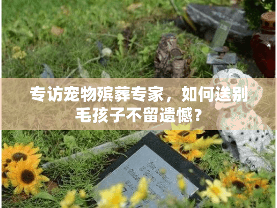 专访宠物殡葬专家，如何送别毛孩子不留遗憾？