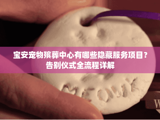 宝安宠物殡葬中心有哪些隐藏服务项目？告别仪式全流程详解