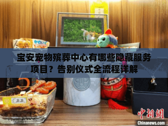 宝安宠物殡葬中心有哪些隐藏服务项目？告别仪式全流程详解