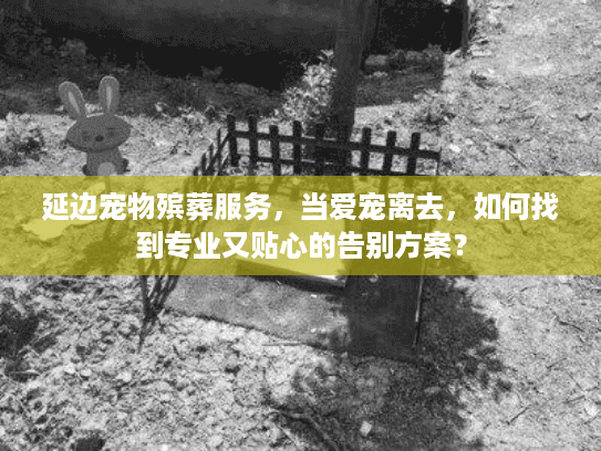 延边宠物殡葬服务，当爱宠离去，如何找到专业又贴心的告别方案？