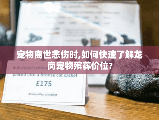宠物离世悲伤时,如何快速了解龙岗宠物殡葬价位?
