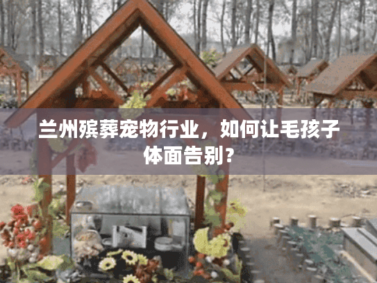 兰州殡葬宠物行业，如何让毛孩子体面告别？