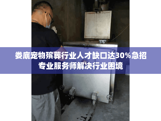 娄底宠物殡葬行业人才缺口达30%急招专业服务师解决行业困境