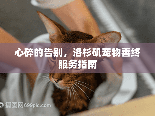 心碎的告别，洛杉矶宠物善终服务指南
