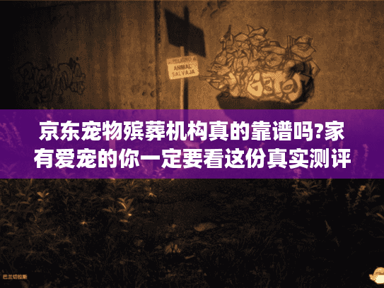 京东宠物殡葬机构真的靠谱吗?家有爱宠的你一定要看这份真实测评
