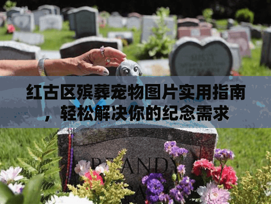 红古区殡葬宠物图片实用指南，轻松解决你的纪念需求