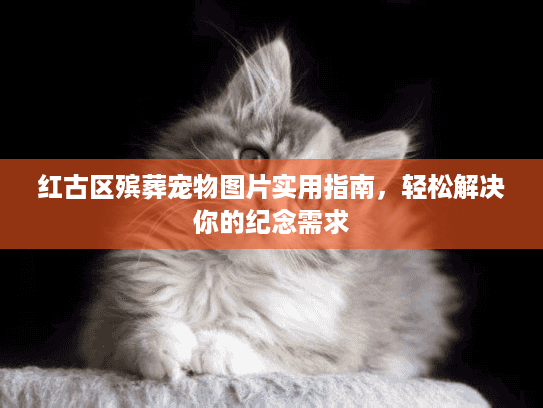红古区殡葬宠物图片实用指南，轻松解决你的纪念需求