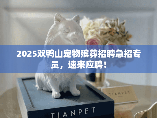 2025双鸭山宠物殡葬招聘急招专员，速来应聘！