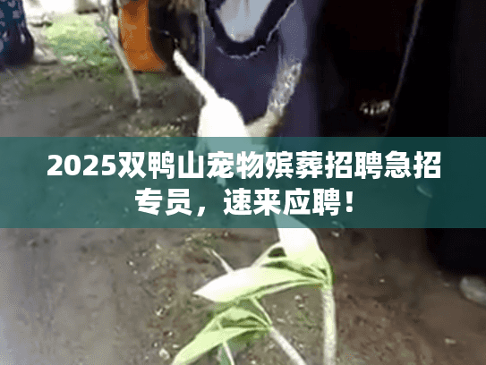 2025双鸭山宠物殡葬招聘急招专员，速来应聘！