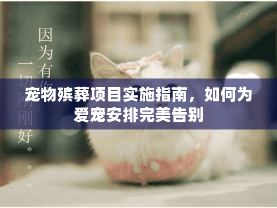 宠物殡葬项目实施指南，如何为爱宠安排完美告别