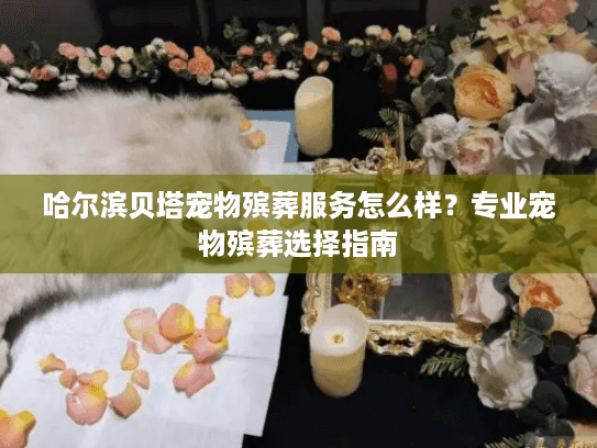哈尔滨贝塔宠物殡葬服务怎么样？专业宠物殡葬选择指南