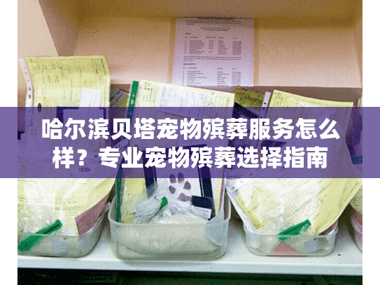 哈尔滨贝塔宠物殡葬服务怎么样？专业宠物殡葬选择指南