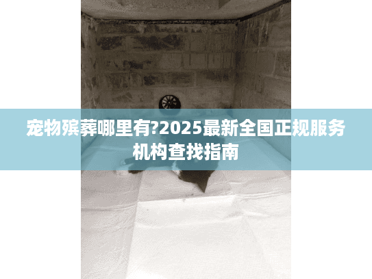 宠物殡葬哪里有?2025最新全国正规服务机构查找指南
