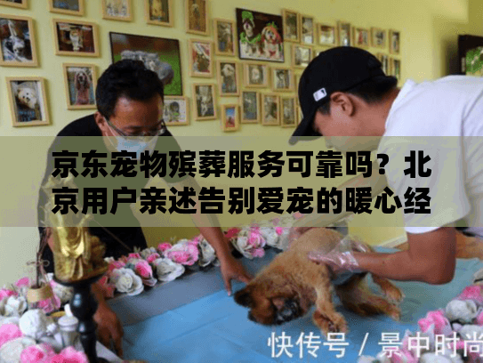京东宠物殡葬服务可靠吗？北京用户亲述告别爱宠的暖心经历