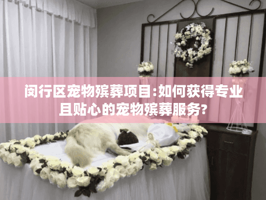 闵行区宠物殡葬项目:如何获得专业且贴心的宠物殡葬服务?