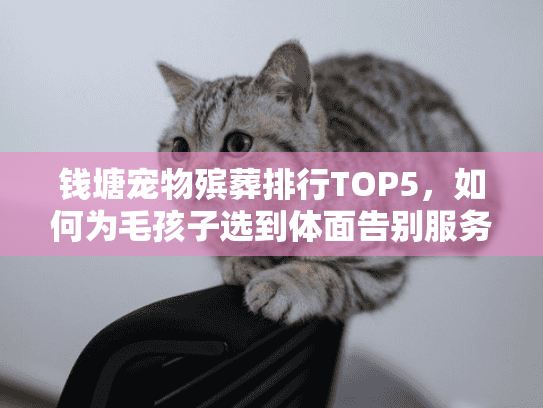 钱塘宠物殡葬排行TOP5，如何为毛孩子选到体面告别服务？