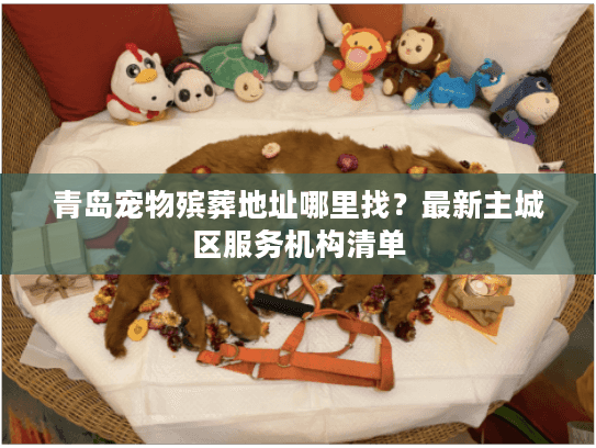 青岛宠物殡葬地址哪里找？最新主城区服务机构清单