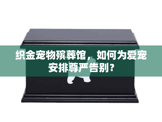 织金宠物殡葬馆，如何为爱宠安排尊严告别？