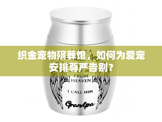 织金宠物殡葬馆，如何为爱宠安排尊严告别？