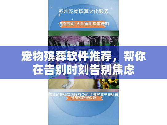 宠物殡葬软件推荐，帮你在告别时刻告别焦虑