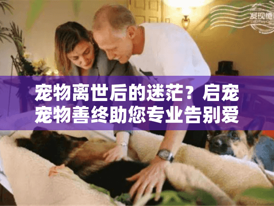 宠物离世后的迷茫？启宠宠物善终助您专业告别爱宠