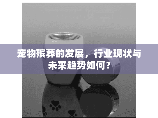 宠物殡葬的发展，行业现状与未来趋势如何？
