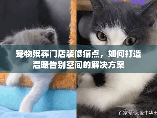 宠物殡葬门店装修痛点，如何打造温暖告别空间的解决方案